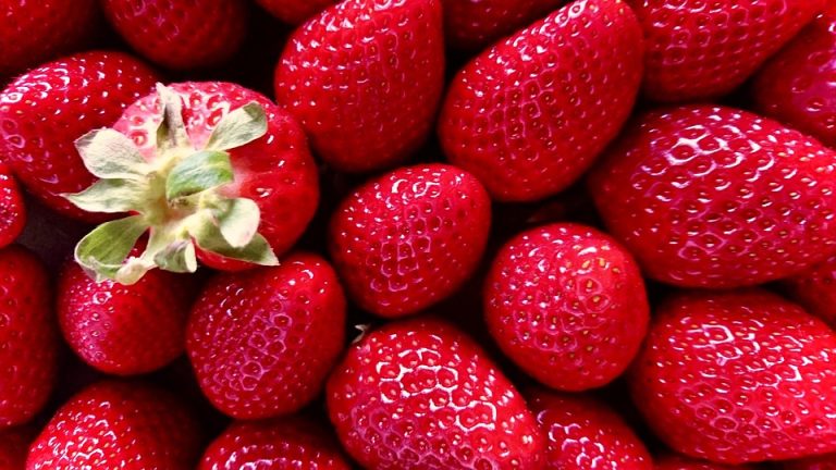 healthy living