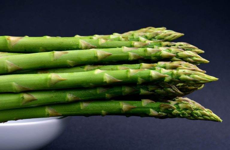 healthy aging tips