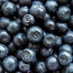 healthy nutrition