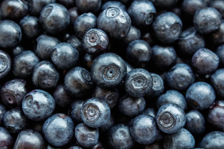 healthy nutrition