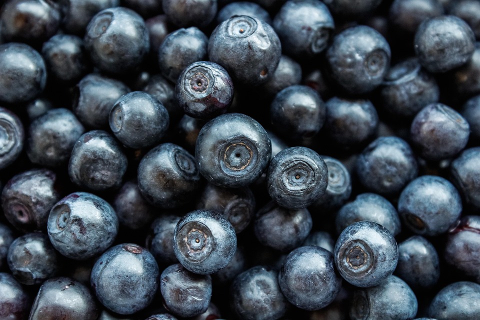 healthy nutrition