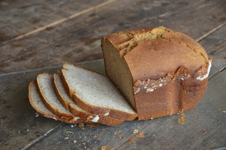 food sensitivity vs allergy