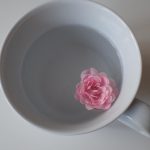 food diary
