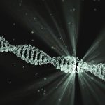 understanding DNA