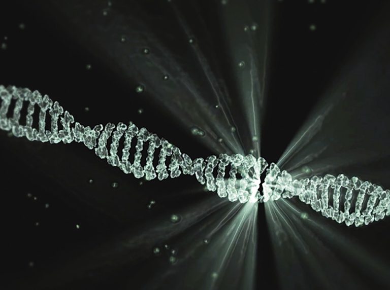 understanding DNA