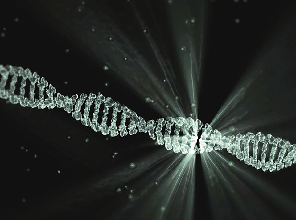 understanding DNA