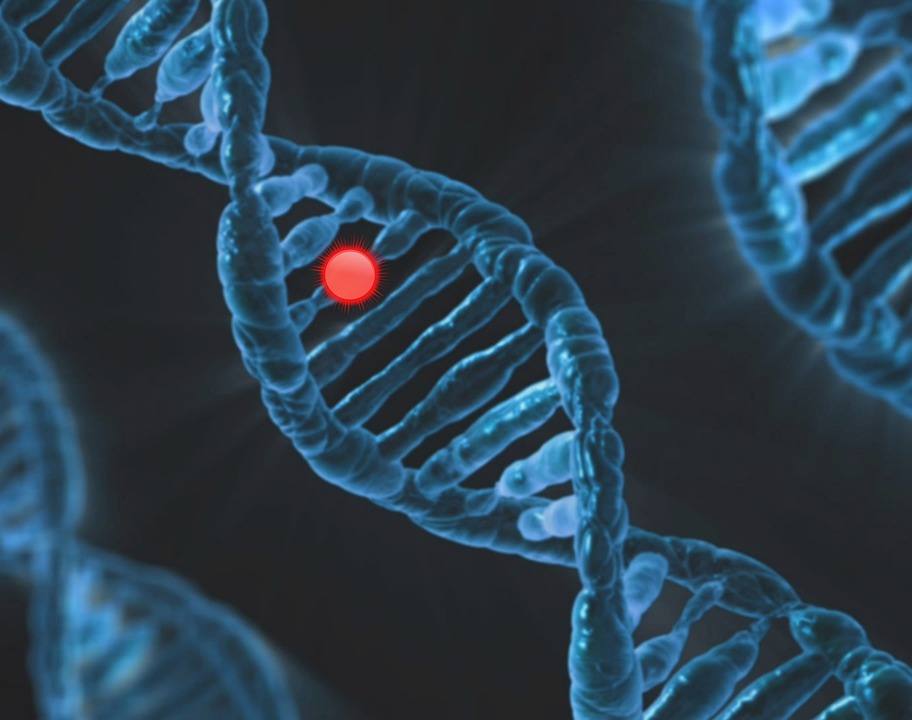 genetics and health
