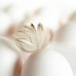 genes and nutrition