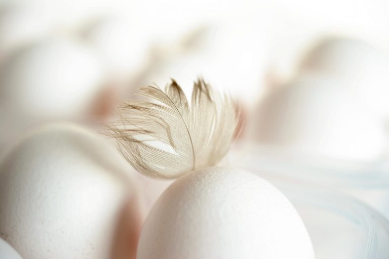 genes and nutrition
