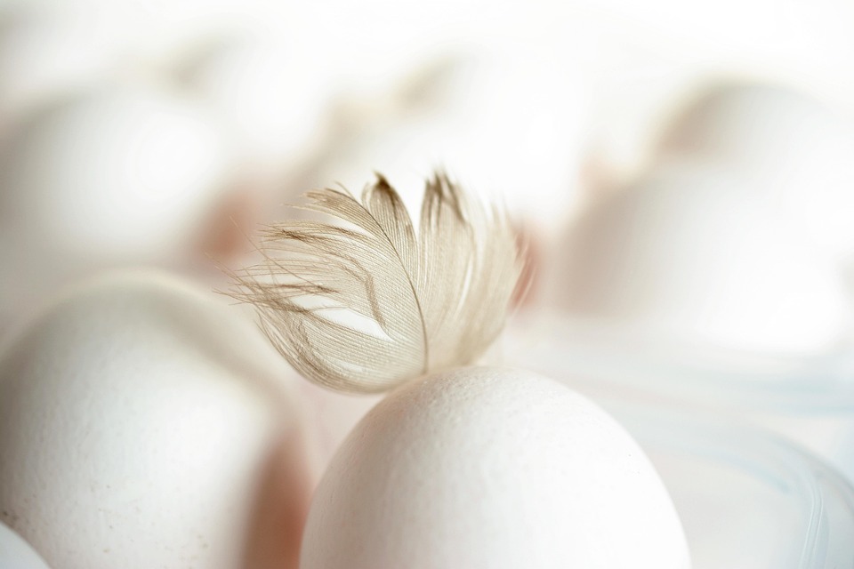 genes and nutrition