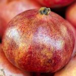 nutrient rich foods