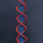 genetics explained
