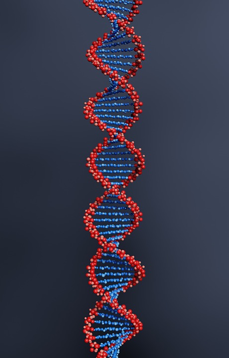 genetics explained