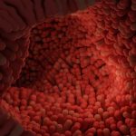 digestive health