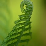 foods that may cause digestive discomfort