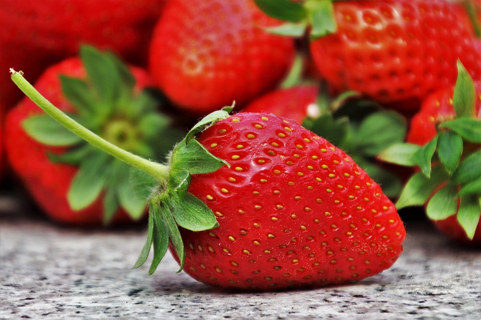 nutrition for healthy living