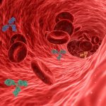 immune health habits