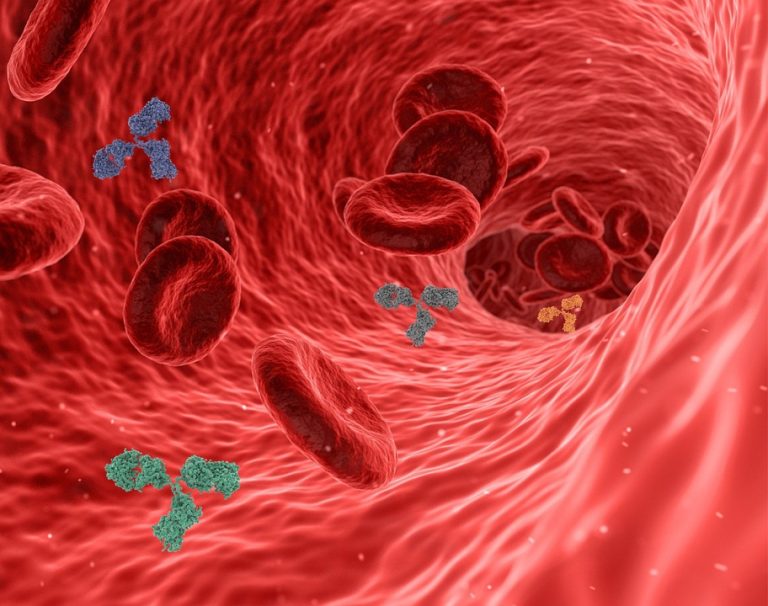 immune health habits