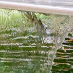 hydration tips