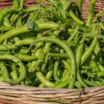 fiber rich foods