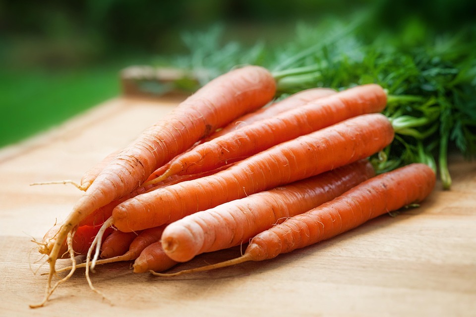 genes and nutrition