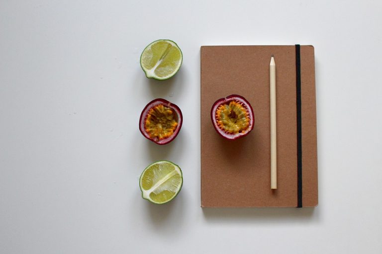 food diary