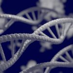 genetic traits