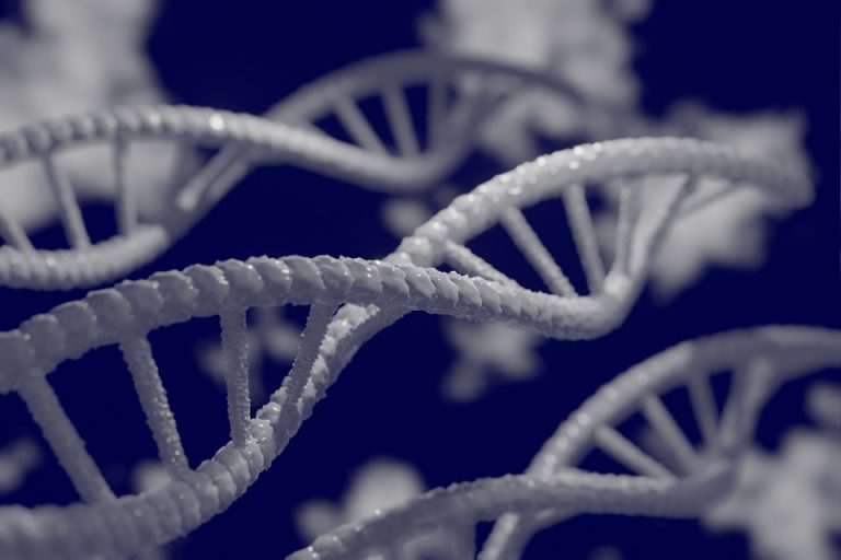genetic traits