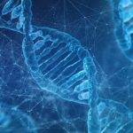 genetic traits
