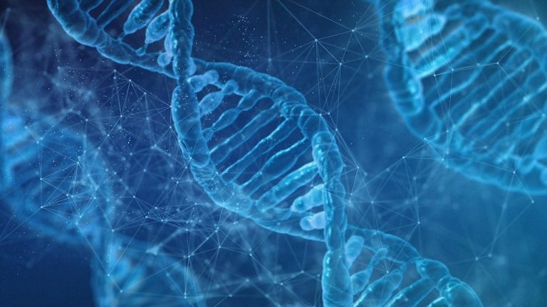 genetic traits