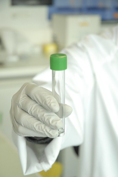 understanding DNA