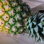 food and wellness
