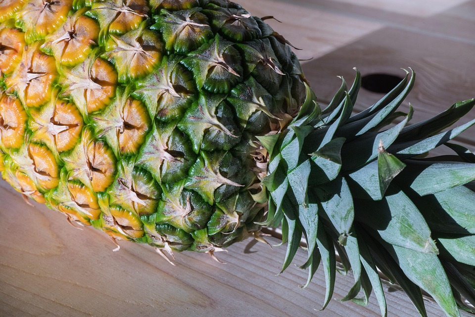 food and wellness