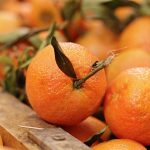 genes and nutrition