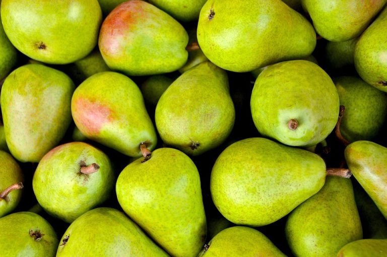 nutrition for healthy living