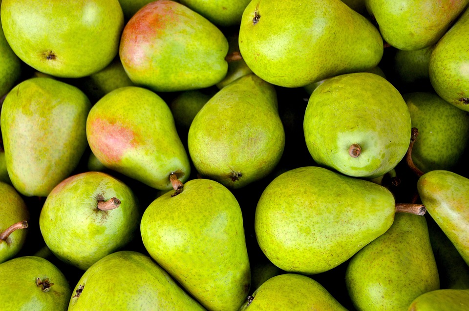 nutrition for healthy living