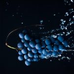 nutrition for healthy living