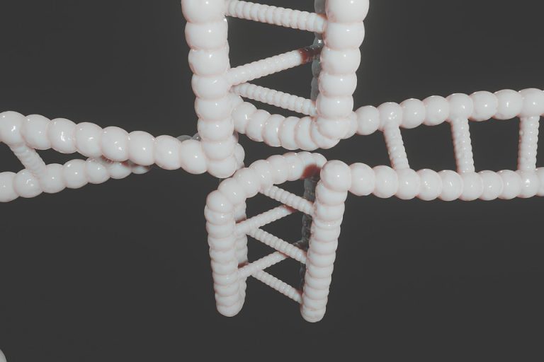 genetics and health