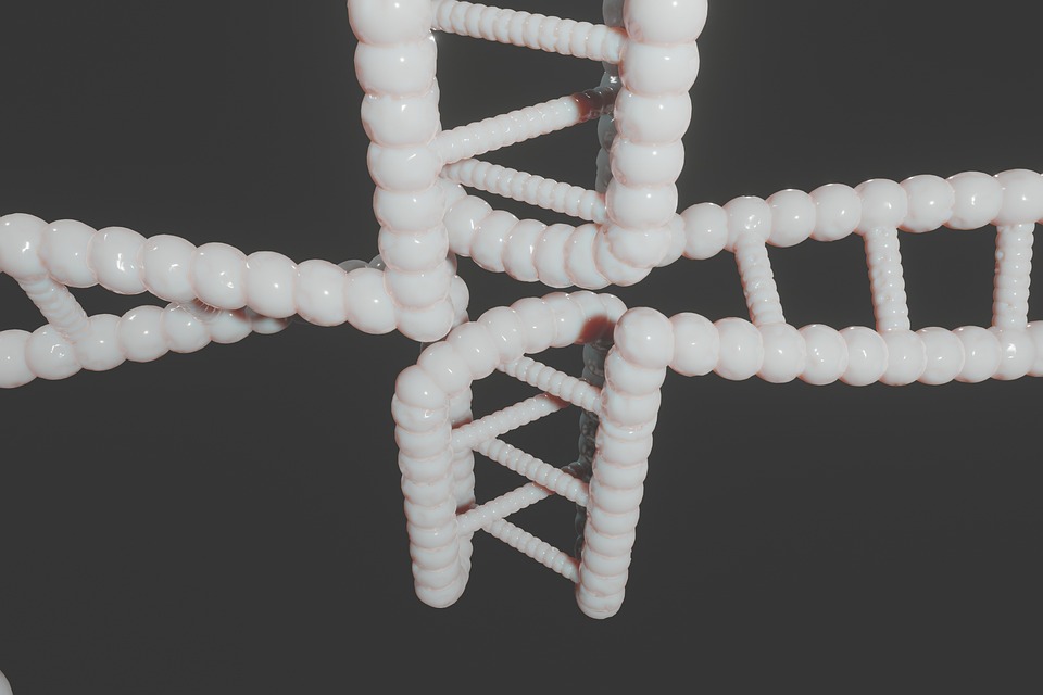 genetics and health