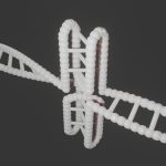 understanding DNA