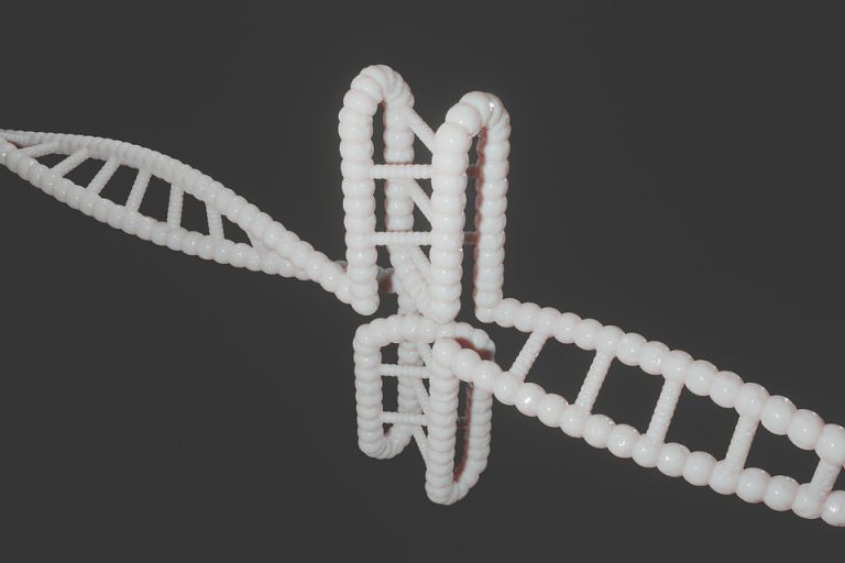 understanding DNA