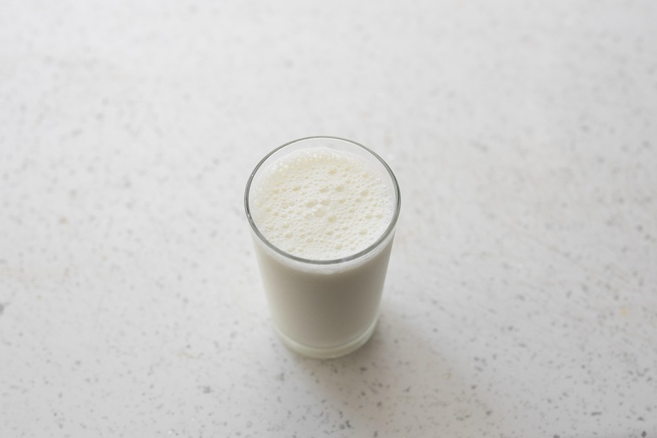 digestive health