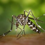 genetics and disease