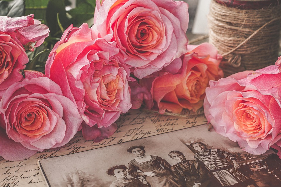 family health history