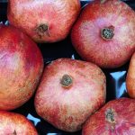 healthy foods