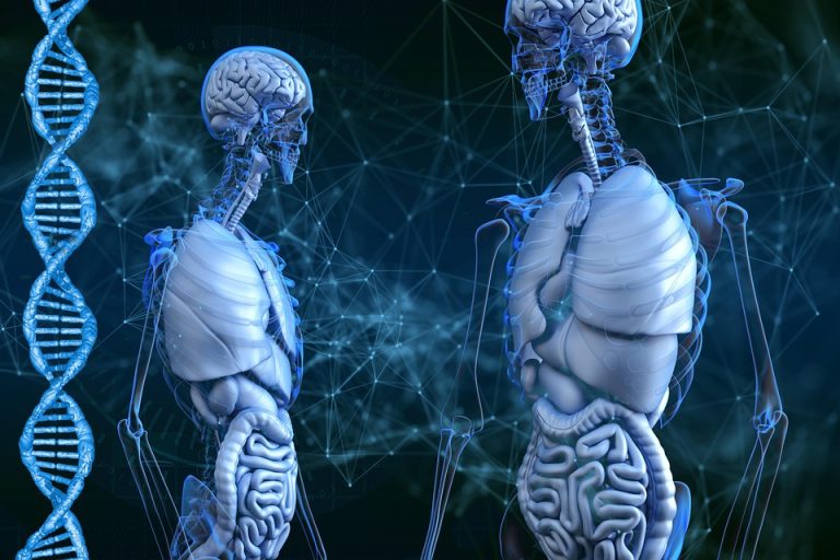 DNA and health
