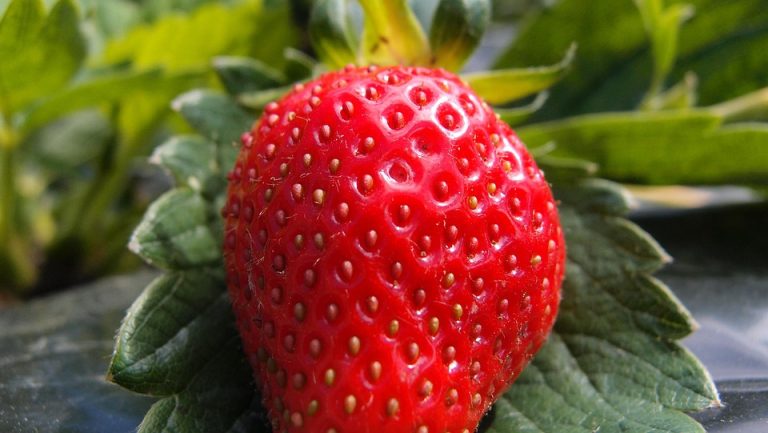 foods that may cause digestive discomfort