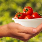 healthy meal ideas