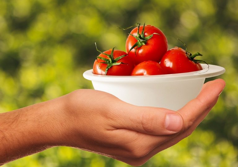 healthy meal ideas