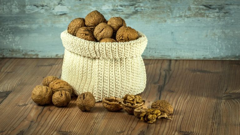 fiber rich foods